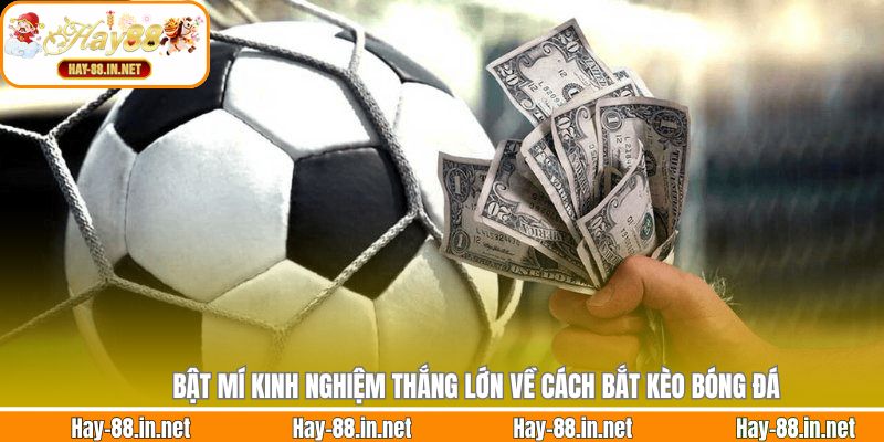 Bật mí kinh nghiệm thắng lớn về cách bắt kèo bóng đá